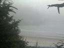 ./images/calvert/beach/20210730/beach20210730_202501.jpg