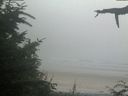 ./images/calvert/beach/20210730/beach20210730_204002.jpg