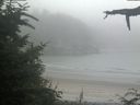 ./images/calvert/beach/20210730/beach20210730_204502.jpg