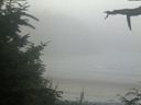 ./images/calvert/beach/20210730/beach20210730_205001.jpg