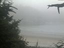 ./images/calvert/beach/20210730/beach20210730_210501.jpg