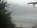 ./images/calvert/beach/20210730/beach20210730_211003.jpg