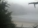 ./images/calvert/beach/20210730/beach20210730_211502.jpg