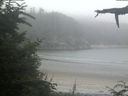 ./images/calvert/beach/20210730/beach20210730_212002.jpg