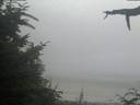 ./images/calvert/beach/20210730/beach20210730_213503.jpg