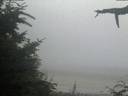 ./images/calvert/beach/20210730/beach20210730_214002.jpg