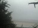 ./images/calvert/beach/20210730/beach20210730_214503.jpg