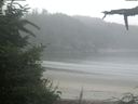 ./images/calvert/beach/20210731/beach20210731_065501.jpg
