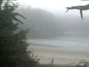 ./images/calvert/beach/20210731/beach20210731_070502.jpg