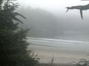 ./images/calvert/beach/20210731/beach20210731_071002.jpg