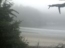 ./images/calvert/beach/20210731/beach20210731_071502.jpg
