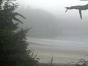 ./images/calvert/beach/20210731/beach20210731_072002.jpg