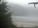 ./images/calvert/beach/20210731/beach20210731_072502.jpg