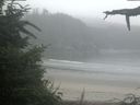 ./images/calvert/beach/20210731/beach20210731_074002.jpg