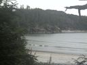 ./images/calvert/beach/20210731/beach20210731_184002.jpg