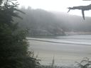 ./images/calvert/beach/20210801/beach20210801_062501.jpg
