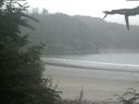 ./images/calvert/beach/20210801/beach20210801_080502.jpg