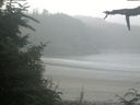 ./images/calvert/beach/20210801/beach20210801_081001.jpg