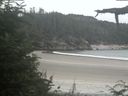 ./images/calvert/beach/20210801/beach20210801_145503.jpg