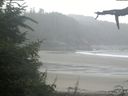 ./images/calvert/beach/20210805/beach20210805_080503.jpg