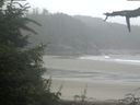 ./images/calvert/beach/20210805/beach20210805_081503.jpg