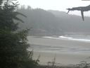 ./images/calvert/beach/20210805/beach20210805_083503.jpg