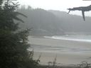 ./images/calvert/beach/20210805/beach20210805_084503.jpg
