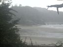 ./images/calvert/beach/20210807/beach20210807_093501.jpg