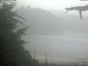 ./images/calvert/beach/20210807/beach20210807_101003.jpg