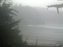 ./images/calvert/beach/20210807/beach20210807_101503.jpg