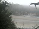./images/calvert/beach/20210810/beach20210810_204502.jpg