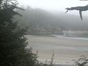 ./images/calvert/beach/20210810/beach20210810_205502.jpg