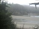 ./images/calvert/beach/20210811/beach20210811_081003.jpg