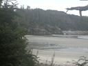 ./images/calvert/beach/20210811/beach20210811_085003.jpg