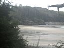 ./images/calvert/beach/20210811/beach20210811_090503.jpg