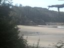 ./images/calvert/beach/20210811/beach20210811_101003.jpg