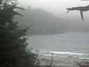 ./images/calvert/beach/20210814/beach20210814_182002.jpg