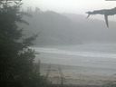 ./images/calvert/beach/20210815/beach20210815_071003.jpg