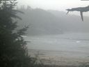 ./images/calvert/beach/20210815/beach20210815_071502.jpg