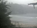 ./images/calvert/beach/20210815/beach20210815_072003.jpg