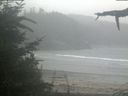 ./images/calvert/beach/20210815/beach20210815_073502.jpg