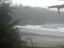 ./images/calvert/beach/20210815/beach20210815_080003.jpg