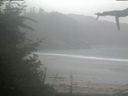 ./images/calvert/beach/20210815/beach20210815_081002.jpg