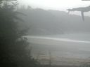 ./images/calvert/beach/20210815/beach20210815_084002.jpg