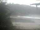 ./images/calvert/beach/20210815/beach20210815_103501.jpg