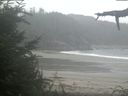./images/calvert/beach/20210815/beach20210815_110501.jpg