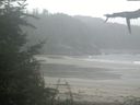 ./images/calvert/beach/20210815/beach20210815_111002.jpg