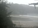 ./images/calvert/beach/20210815/beach20210815_111503.jpg