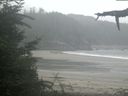 ./images/calvert/beach/20210815/beach20210815_114502.jpg