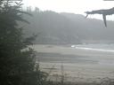 ./images/calvert/beach/20210815/beach20210815_115003.jpg